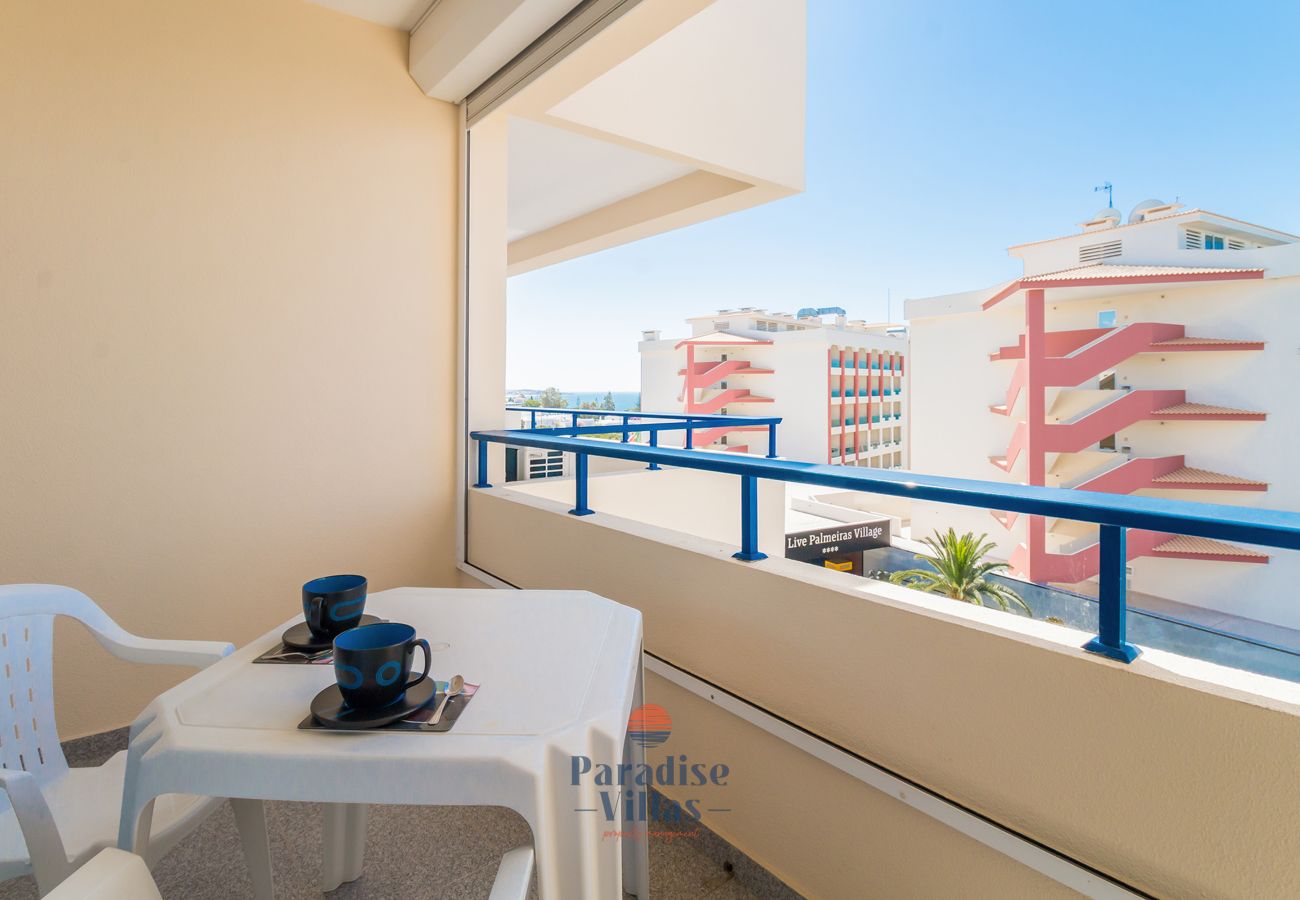 Apartamento em Porches - Apartamento Palmeiras