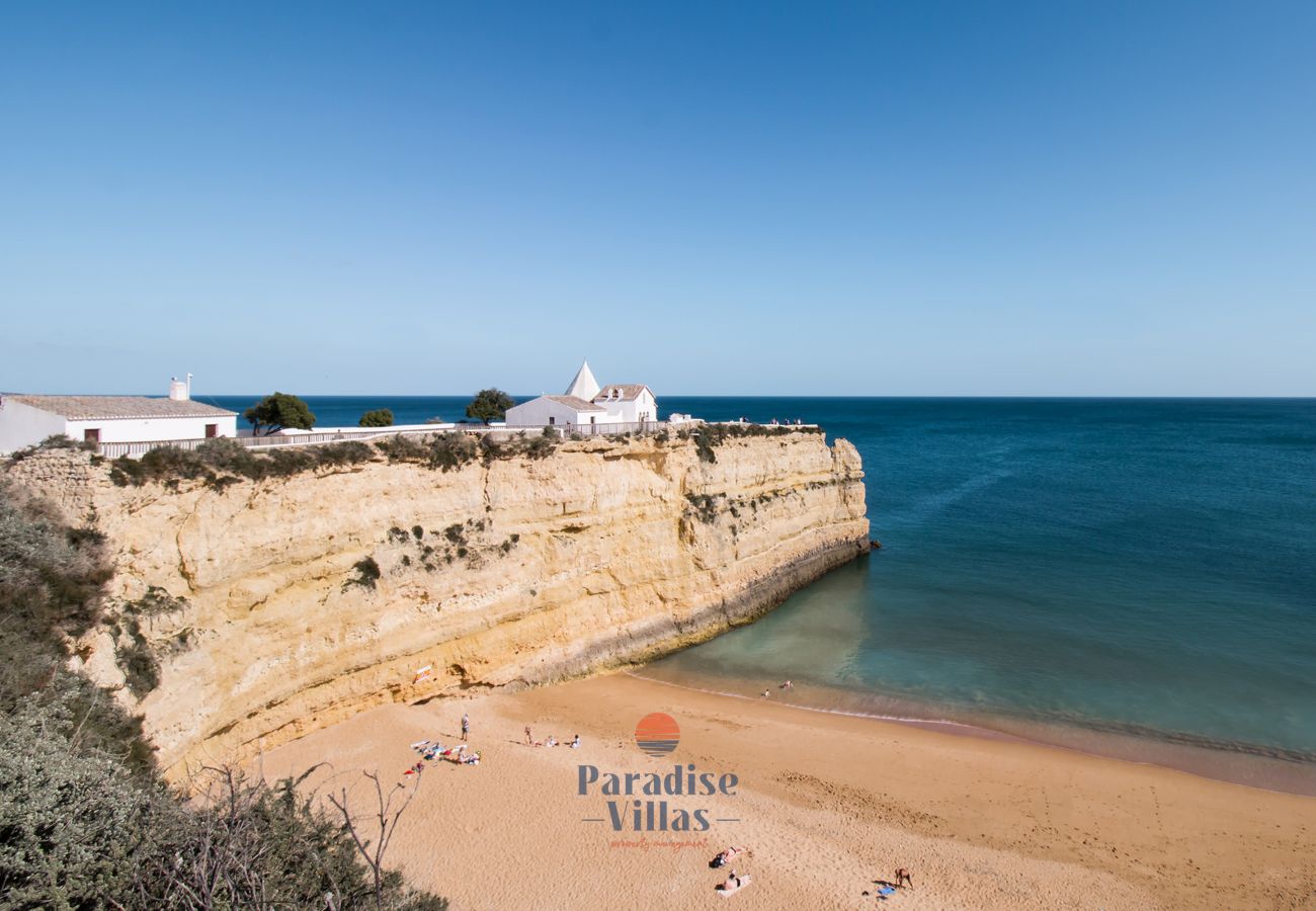 Apartment in Porches - Apartamento Palmeiras